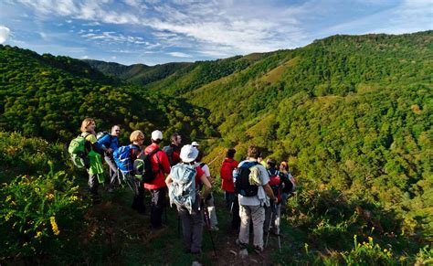 toledocitas.com|Excursiones, visitas guiadas y actividades en Toledo Provincia